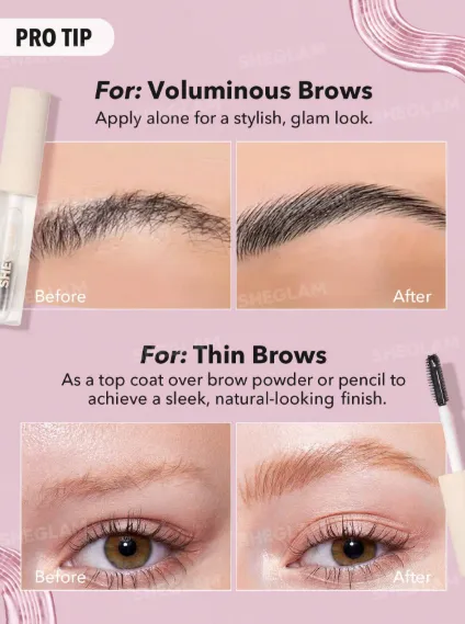 Capture d'écran 2026-03-12 154043.webp