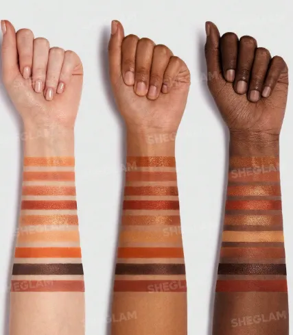 Capture d'écran 2026-03-12 161829.webp