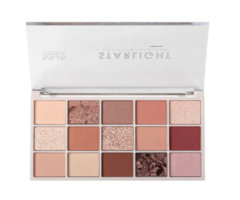 Capture d'écran 2026-03-12 162808.webp