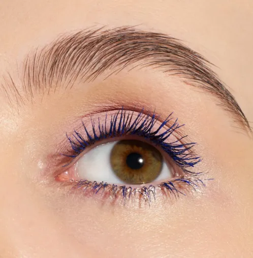 Capture d'écran 2026-03-12 223405.webp