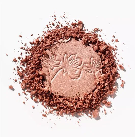 Capture d'écran 2026-03-10 151621.webp