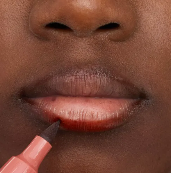 Capture d'écran 2026-03-13 201438.webp