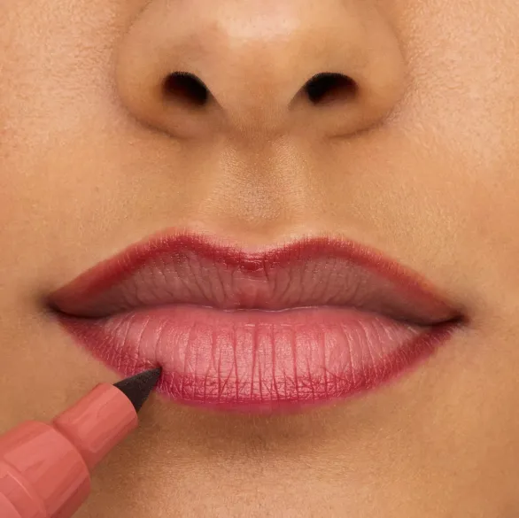 Capture d'écran 2026-03-13 201445.webp