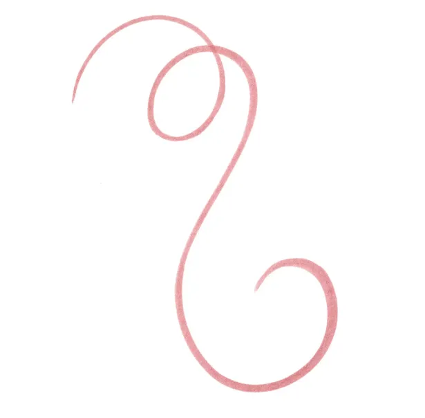 Capture d'écran 2026-03-13 201424.webp