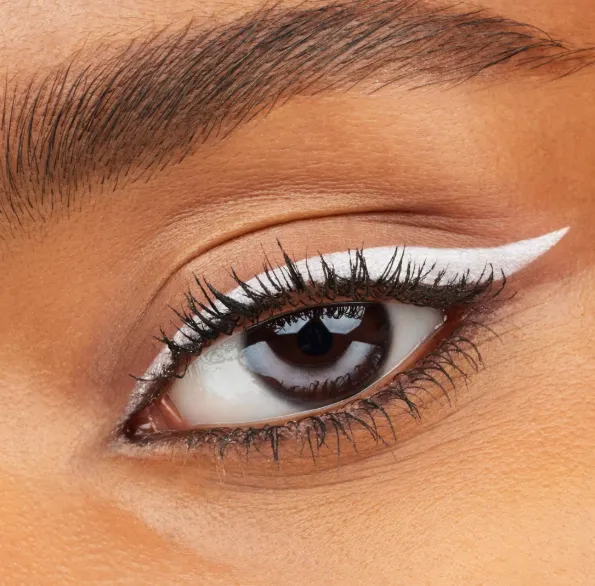 Capture d'écran 2026-03-13 202251.webp