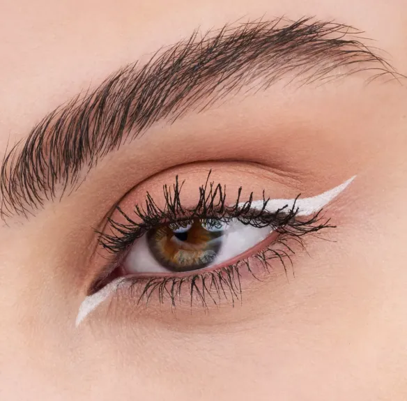 Capture d'écran 2026-03-13 202301.webp