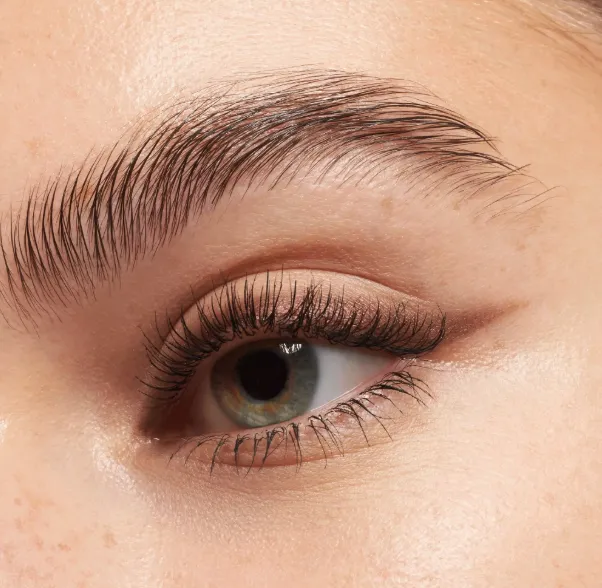 Capture d'écran 2026-03-13 202429.webp