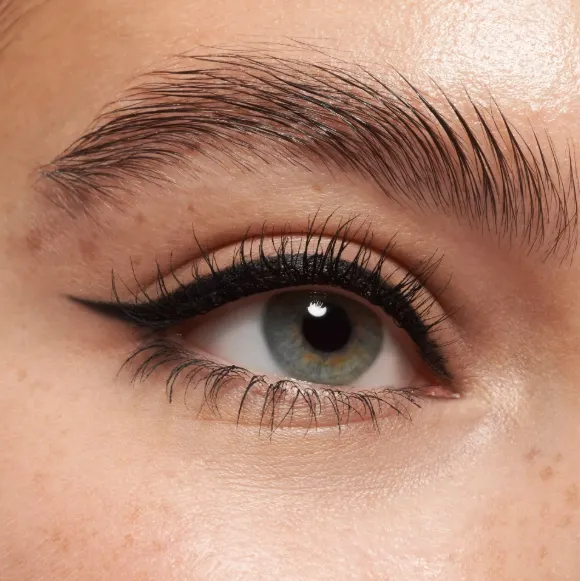 Capture d'écran 2026-03-13 202705.webp