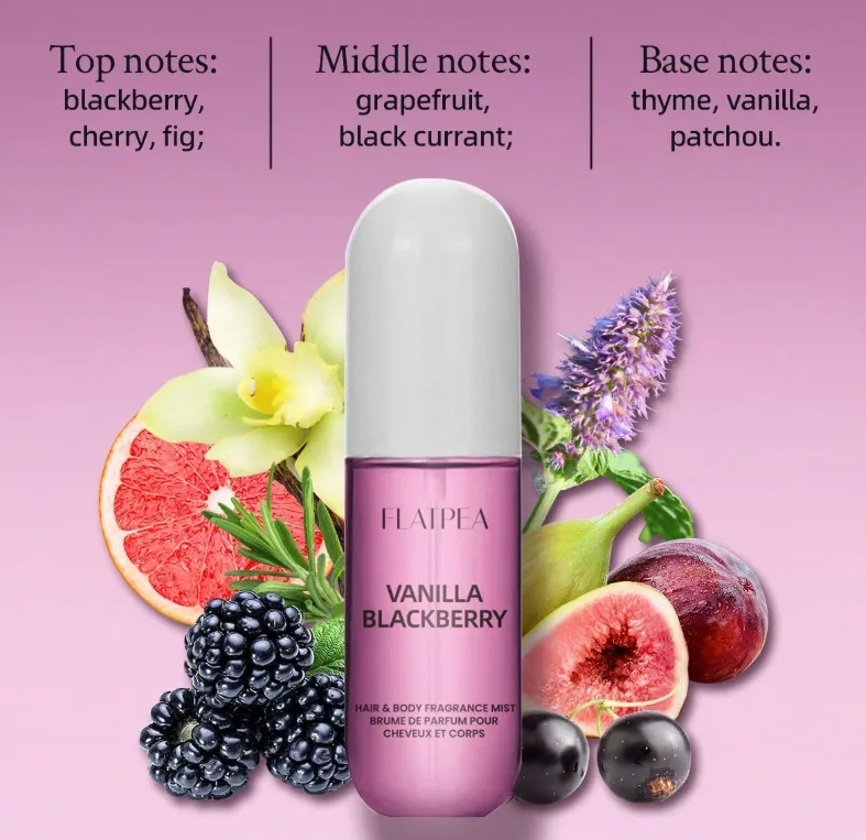 Capture d'écran 2026-03-13 210518.webp