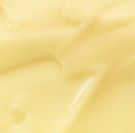 Capture d'écran 2026-03-13 220237.webp