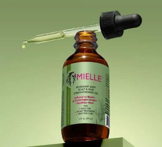 Capture d'écran 2026-03-14 022159.webp