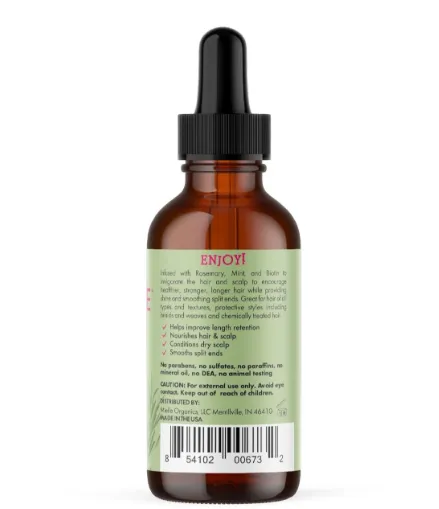 Capture d'écran 2026-03-14 022152.webp