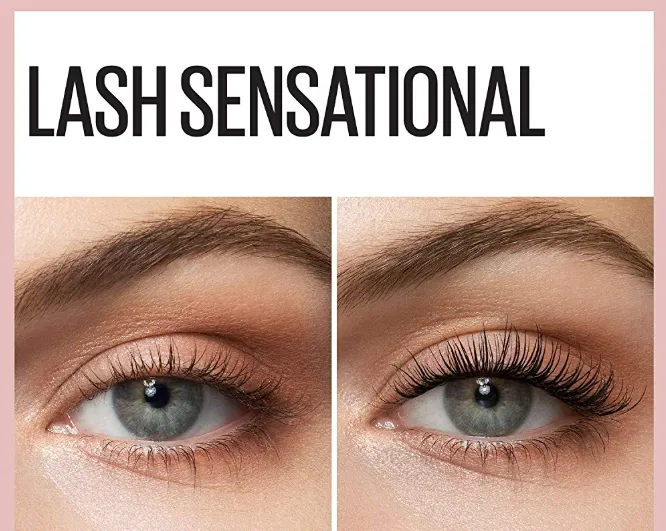 Capture d'écran 2026-03-16 145802.webp