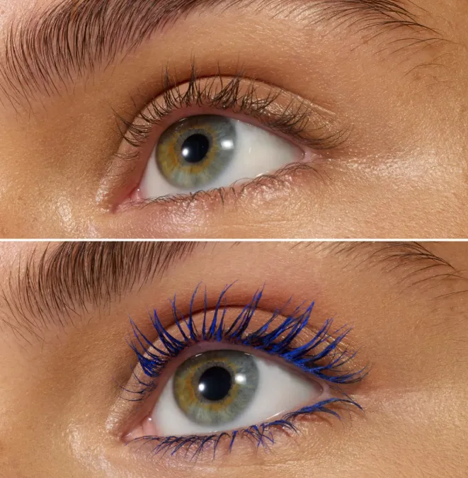 Capture d'écran 2026-03-16 175830.webp