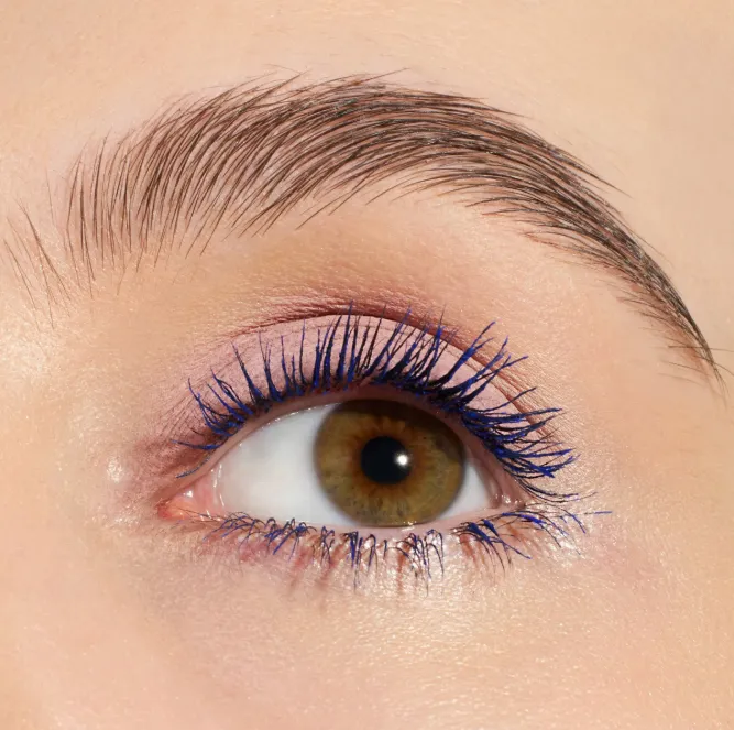 Capture d'écran 2026-03-16 175834.webp