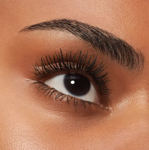 Capture d'écran 2026-03-16 175959.webp