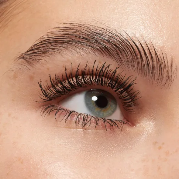 Capture d'écran 2026-03-16 180004.webp