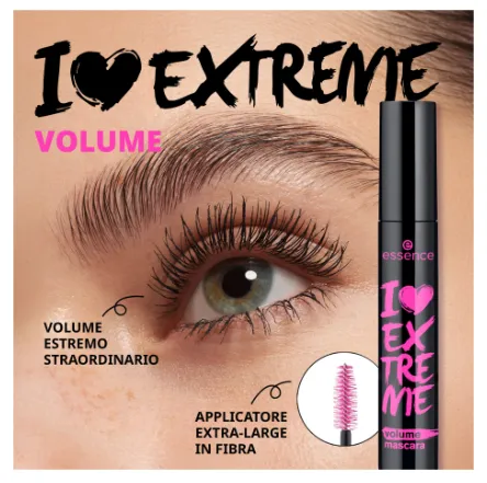 Capture d'écran 2026-03-16 180114.webp