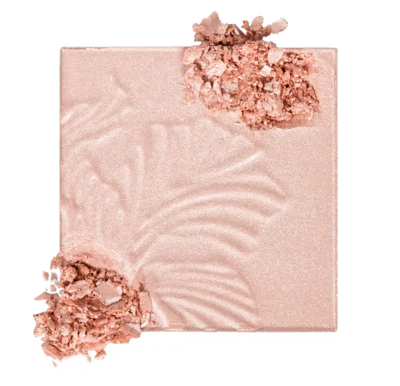 Capture d'écran 2026-03-17 000135.webp