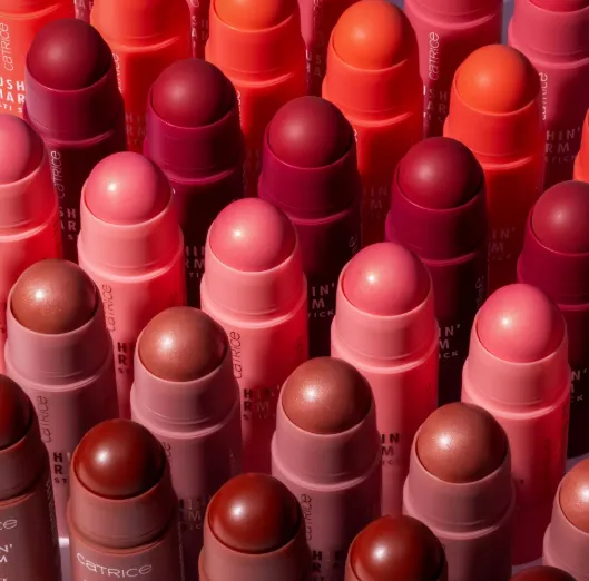 Capture d'écran 2026-03-17 004242.webp