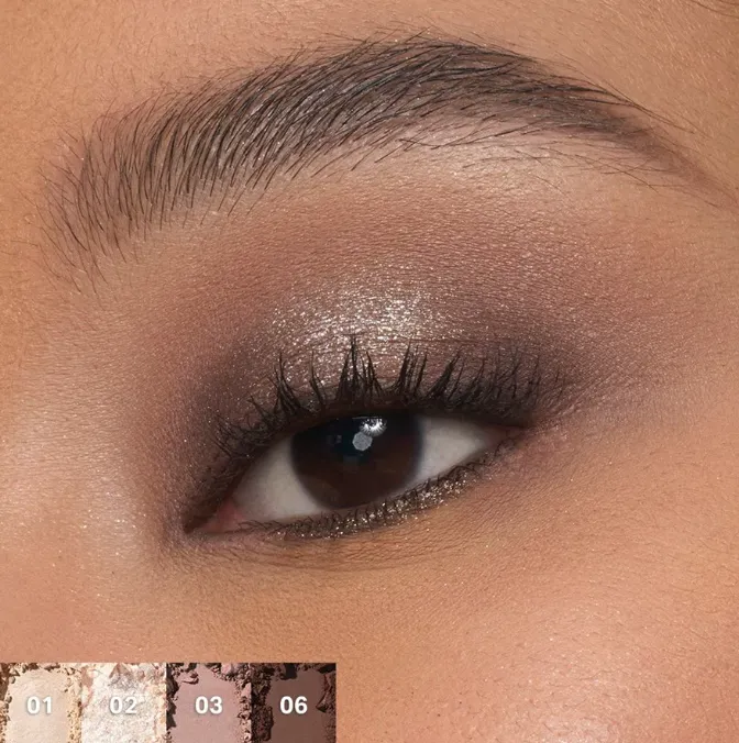 Capture d'écran 2026-03-17 010525.webp