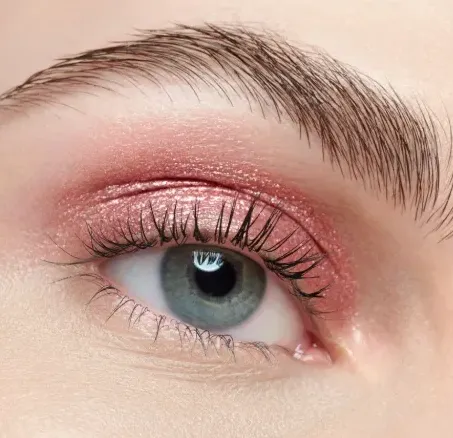 Capture d'écran 2026-04-03 134019.webp