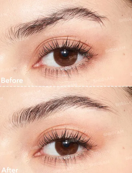 Capture d'écran 2026-04-07 184442.webp