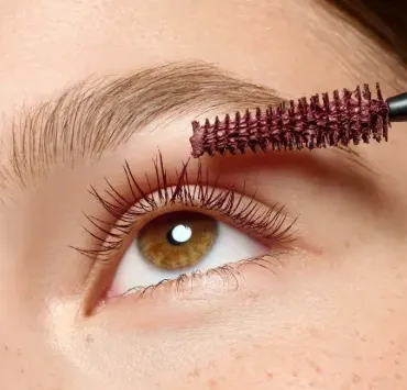 Capture d'écran 2026-04-07 202521.webp