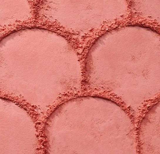 Capture d'écran 2026-04-08 123852.webp