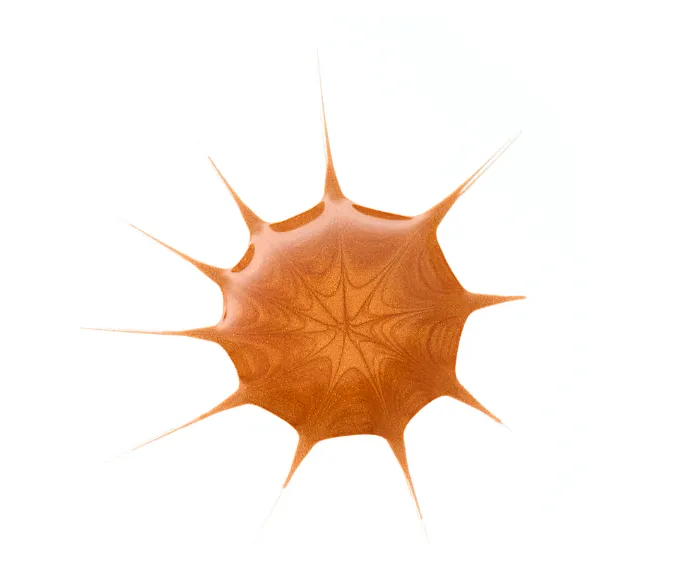 Capture d'écran 2026-04-10 215626.webp