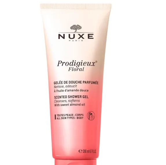 Capture d'écran 2026-03-11 001924.webp