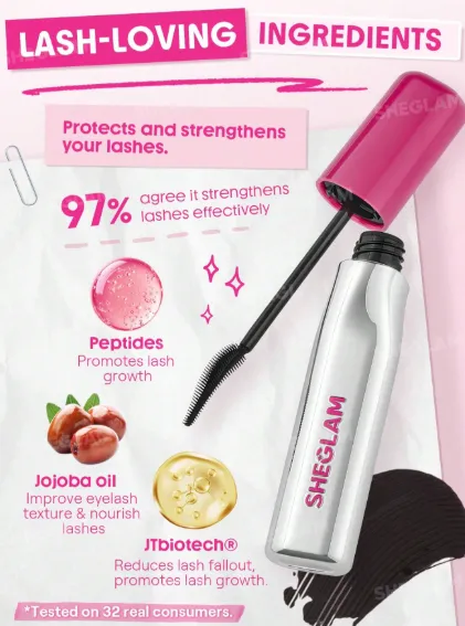 Capture d'écran 2026-03-11 004822.webp