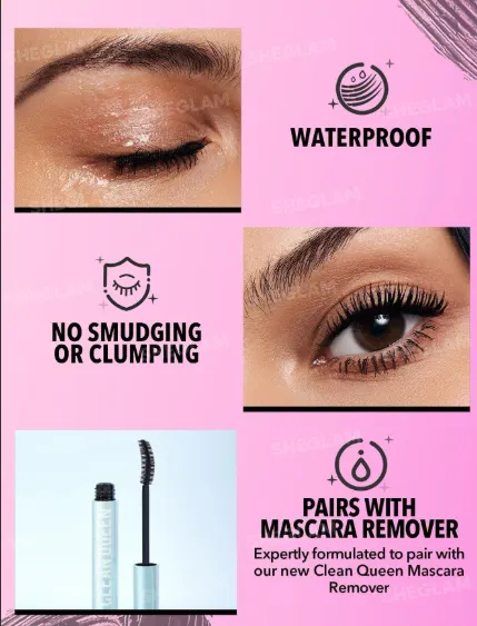 Capture d'écran 2026-03-11 005008.webp