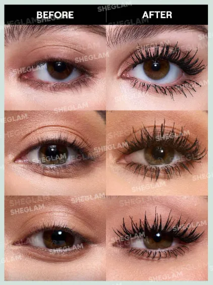 Capture d'écran 2026-03-11 005622.webp