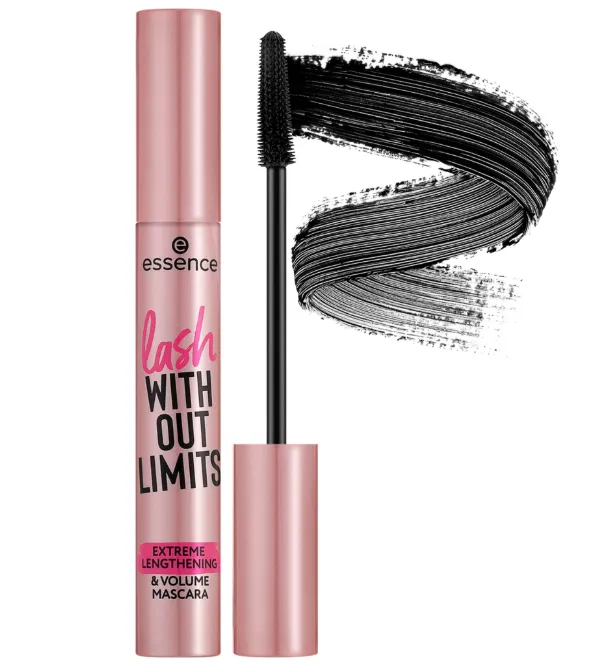 Capture d'écran 2026-03-11 011427.webp