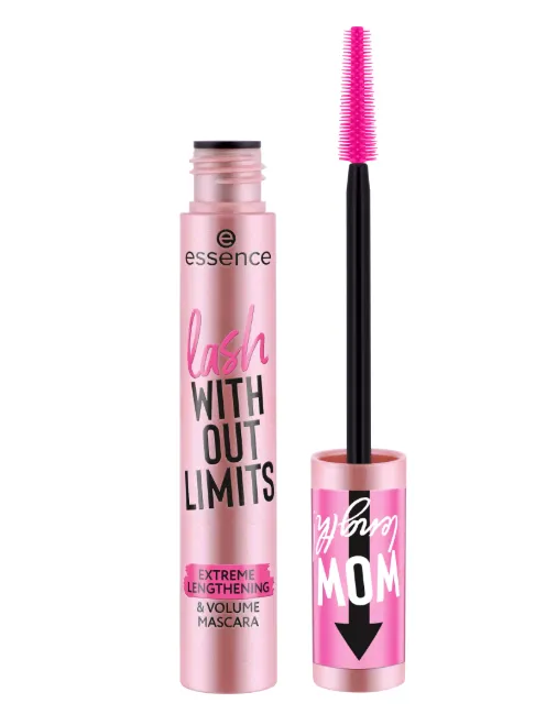 Capture d'écran 2026-03-11 011319.webp