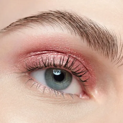 Capture d'écran 2026-03-11 012107.webp