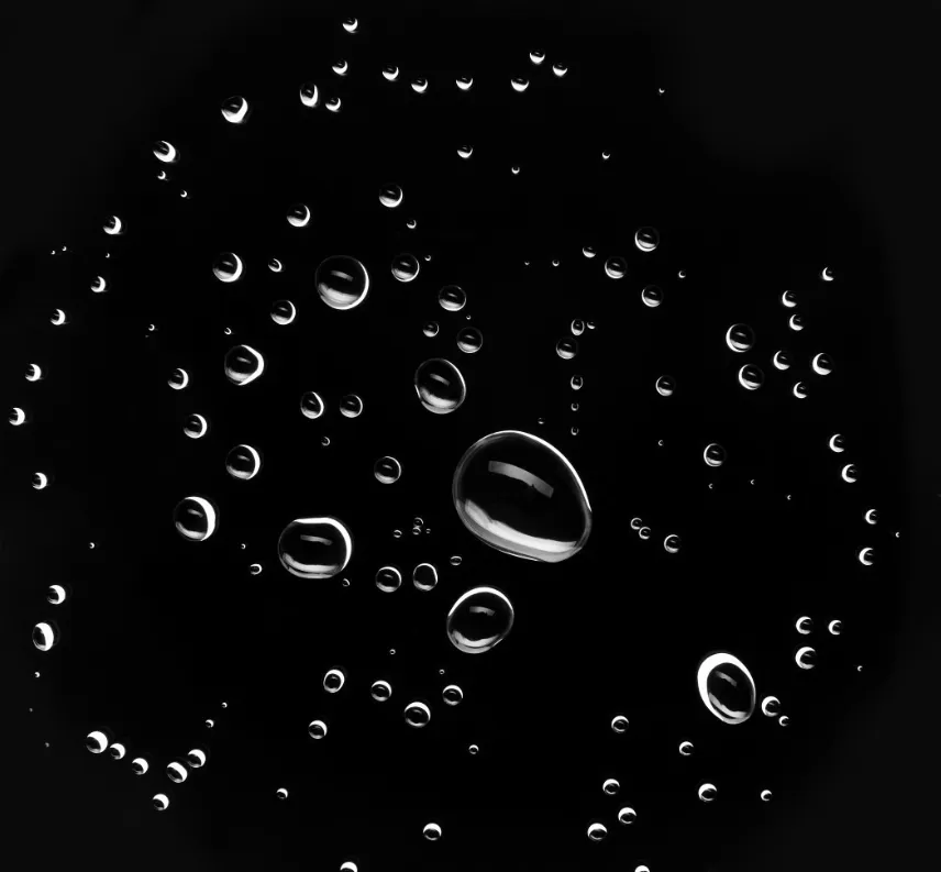 Capture d'écran 2026-03-11 163142.webp