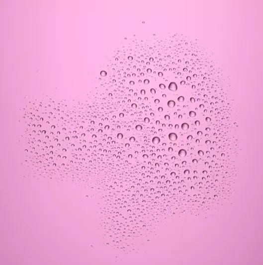 Capture d'écran 2026-03-11 164149.webp