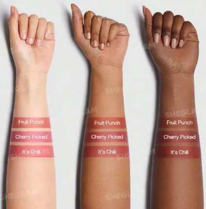 Capture d'écran 2026-03-11 203628.webp