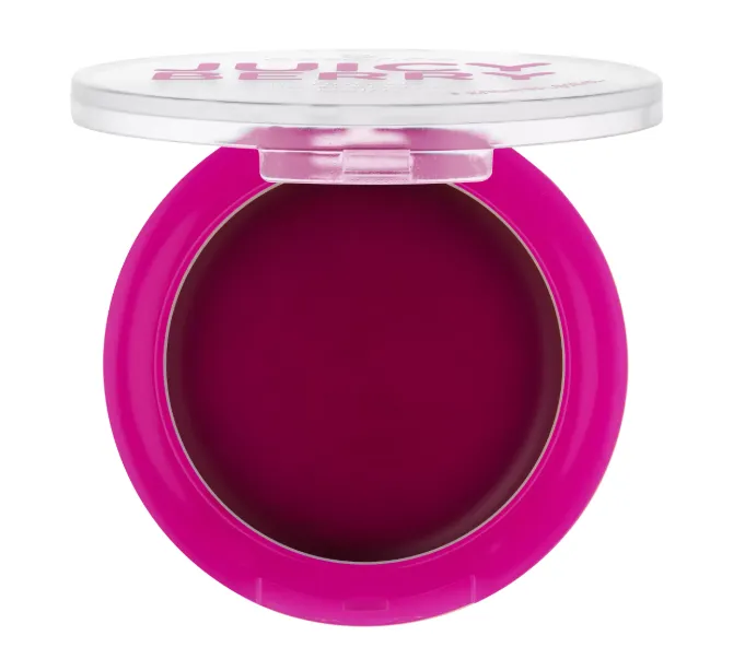 Capture d'écran 2026-03-10 131720.webp