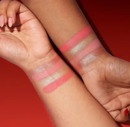 Capture d'écran 2026-03-10 133337.webp