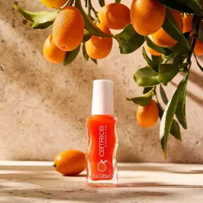 Capture d'écran 2026-03-12 023517.webp